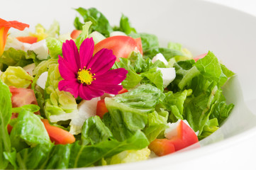Gemischter Salat mit essbarer Cosmeenblüte