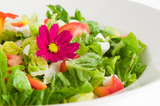 Gemischter Salat mit essbarer Cosmeenbl&uuml;te
