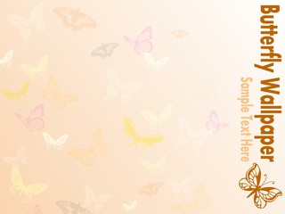 Fototapeta premium Butterfly Wallpaper