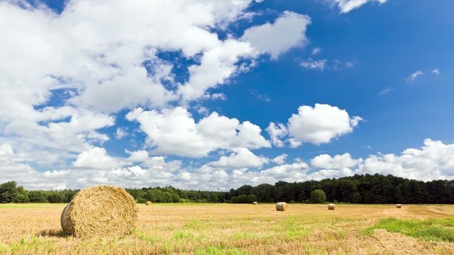 Silesian Landscape