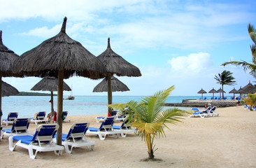 plage paradisiaque sous les cocotiers, île Maurice