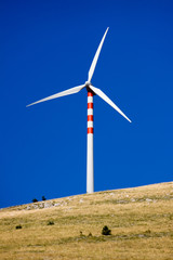 wind power