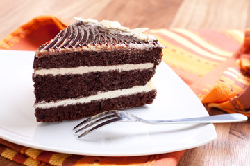 piece of chocolate cake