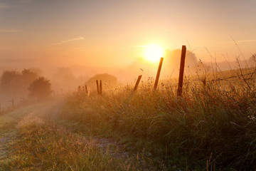 Obraz premium early morning 3