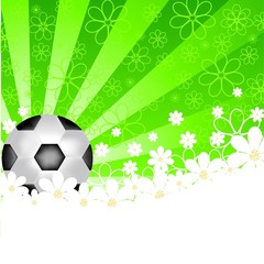 vector illustration of a soccer ball with flowers and sun