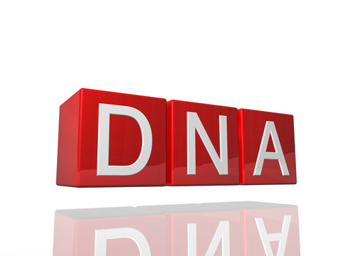 DNA