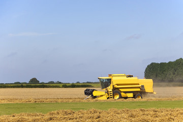 Naklejka premium combine harvester