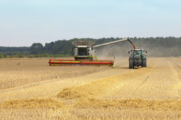 Obraz premium harvesting wheat
