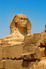 Egyptian sphinx
