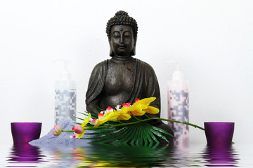 buddha,wellness