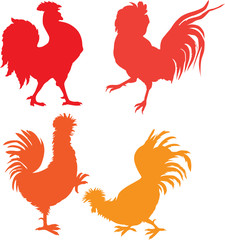 roosters vector