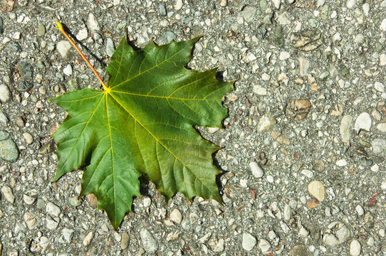 Herbstbeginn