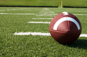 Closeup of American Football on Field - 25094192