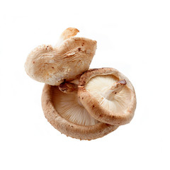 shiitake mushrooms