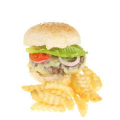 Cheese burger and fries