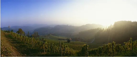 Fototapete Rund vineyard with a sunset and hills in the background © lognetic