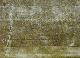 old worn dirty stone wall with lots of moss and a vertical crack