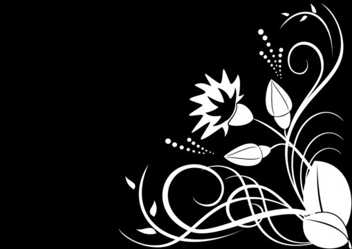 white flora on black background - vector