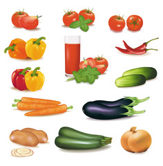 The big colorful group of vegetables.Vector.