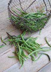 haricots du jardin