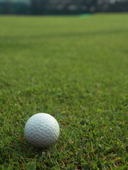 Golf Ball in Foreground on Fairway