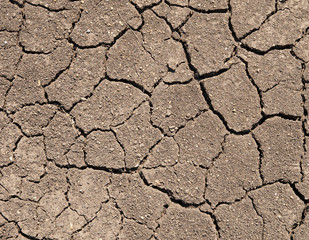 Dry soil with cracks