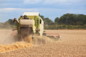 combine harvestor working in field