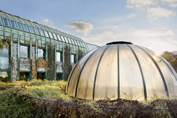 Dome of light. Modern ecological Library in Warsaw.