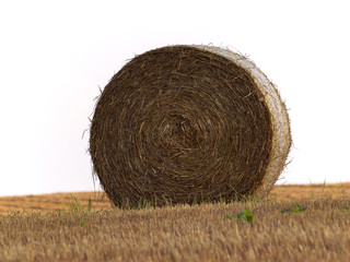 Strohrolle auf dem Feld