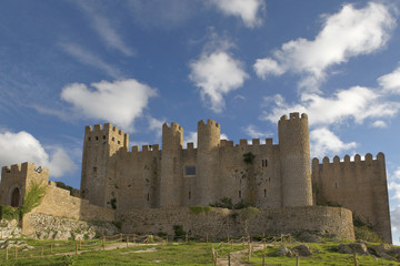 Fototapeta na wymiar Zamek w Obidos