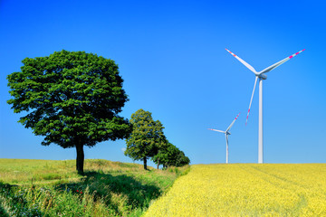 Obraz premium wind turbines and trees