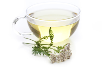 Schafgarbe (Achillea millefolium) Tee mit Pflanze