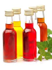 Fruit liqueurs - Liquori alla frutta