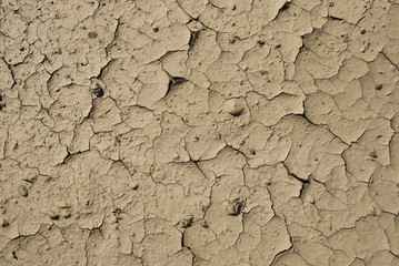 terreno arido