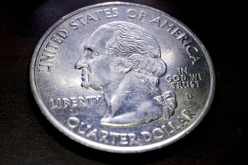 USA Quarter Extreme Macro