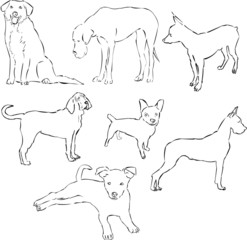 Dogs