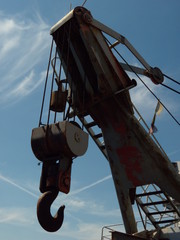Hook of cargo crane