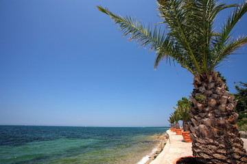 Obraz premium Adriatic