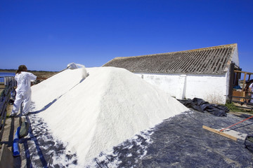 france; 85; île de noirmoutier : récolte du sel