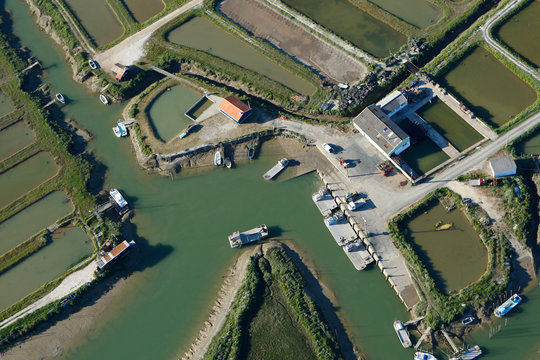 Port ostr&eacute;icole du chenal de Coux, presqu'&icirc;le d'Arvert, Charente
