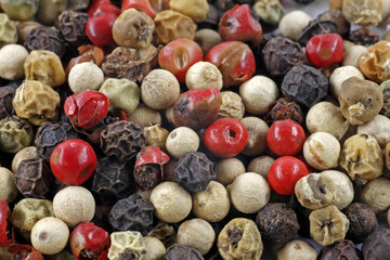 Pfefferkörner (Piper nigrum), Echter Pfeffer - Pepper corns