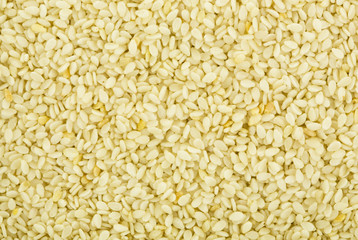 Sesame Seeds