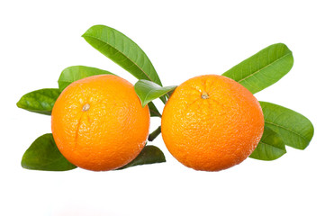 two oranges