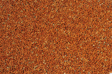 Red millet seed close up as background