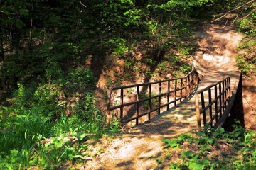 forest path and bridge