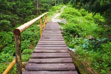 wooden bridge on a forest river