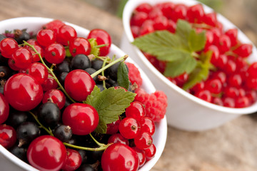 Mixed summer berries
