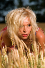 beautiful blonde sitting on a field of wheat