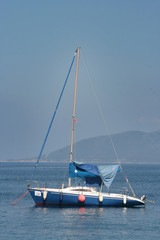 Naklejka premium sail boat
