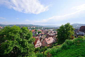Obraz premium Tübingen, Germany
